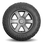 Thumbnail 3 for Safari&reg; MT